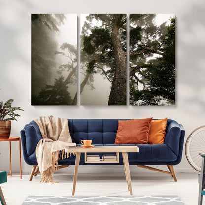 87969493-MGV-CV-36X24-Forest Wall Art – Misty Tall Trees Canvas Print, Dramatic Woodland Photography Decor for Bedroom, Living Room, Office, Cabin,