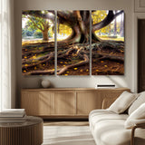 53335-MGV-CV-36X24-Majestic Tree with Sprawling Roots Wall Art – Serene Sunlit Park Scene, Nature Canvas Print, Perfect for Living Room, Office or