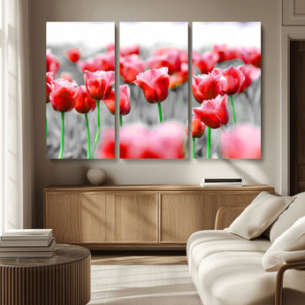 44554-MGV-CV-36X24-Vibrant red tulips stand out beautifully against a black-and-white background, making a striking decor piece perfect for any home
