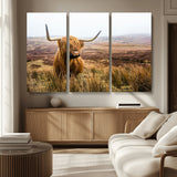 79391-MGV-CV-36X24-Majestic Highland Cow in Misty Scottish Moorland – Rustic Natural Charm, Perfect for Unique Home or Office Decor