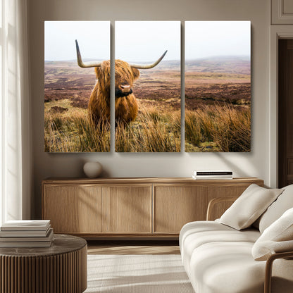 79391-MGV-CV-36X24-Majestic Highland Cow in Misty Scottish Moorland – Rustic Natural Charm, Perfect for Unique Home or Office Decor