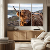 71222-MGV-CV-36X24-A playful Highland cow with shaggy fur sticks out its tongue, set against a rugged landscape — perfect for quirky home or office