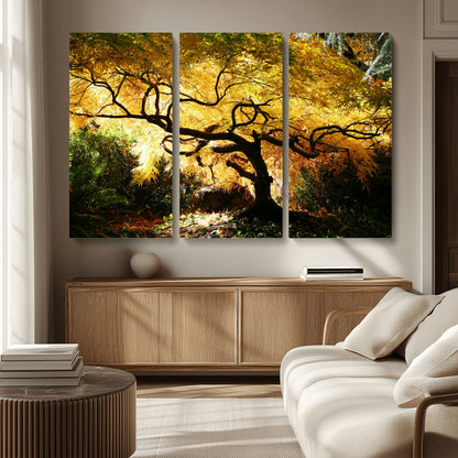 19067-MGV-CV-36X24-Golden Canopy Wall Art – Panoramic Autumn Tree Canvas Print, Warm Seasonal Decor for Living Room, Office or Garden Space