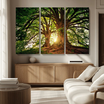 52150-MGV-CV-36X24-Majestic Tree Wall Art – Large Nature Canvas Print with Sunlight Through Branches, Rustic Forest Decor for Living Room, Bedroom or