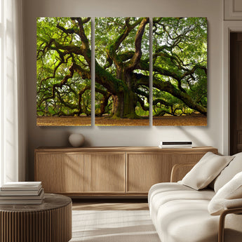 29407-MGV-CV-36X24-Ancient Oak Tree Wall Art – Majestic Nature Canvas Print, Large Tree Photography Decor for Living Room or Office