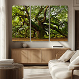 29407-MGV-CV-36X24-Ancient Oak Tree Wall Art – Majestic Nature Canvas Print, Large Tree Photography Decor for Living Room