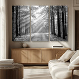 39665-MGV-CV-36X24-Black and White Forest Path Wall Art – Sunlight Rays in Trees Canvas Print, Nature Landscape Decor for Living Room or Office