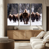 66871-MGV-CV-36X24-Bison Herd Wall Art – Wildlife Buffalo Canvas Print, Rustic Western Nature Photography Decor for Living Room, Office, Cabin, or