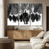 62434-MGV-CV-36X24-Bison Herd Wall Art – Majestic Black and White Buffalo Canvas Print, Wildlife Nature Photography Decor for Living Room, Office or