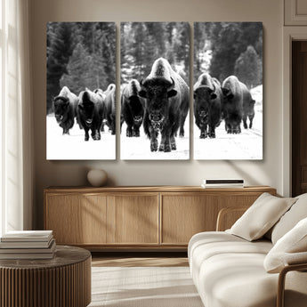 62434-MGV-CV-36X24-Bison Herd Wall Art – Majestic Black and White Buffalo Canvas Print, Wildlife Nature Photography Decor for Living Room, Office or