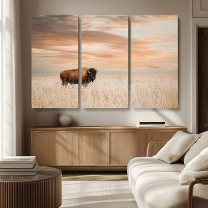 99699-MGV-CV-36X24-Bison in Prairie at Sunset – Wildlife Photography Print, American Buffalo Wall Art, Nature Landscape Canvas Decor for Office