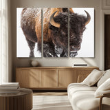 65605-MGV-CV-36X24-Snow Bison Wall Art – Close Up Buffalo Canvas Print, Rustic Western Wildlife Photography, Farmhouse Cabin Lodge Decor for Living