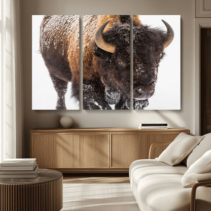 65605-MGV-CV-36X24-Snow Bison Wall Art – Close Up Buffalo Canvas Print, Rustic Western Wildlife Photography, Farmhouse Cabin Lodge Decor for Living