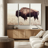 48406-MGV-CV-36X24-American Bison Wall Art – Rustic Buffalo Canvas Print in Prairie Field, Western Wildlife Photography Decor for Cabin, Lodge,