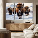 56701-MGV-CV-36X24-Bison Herd Wall Art – Buffalo Walking in Snowy Mountains Canvas Print, Rustic Wildlife Decor for Cabin, Lodge, or Living Room