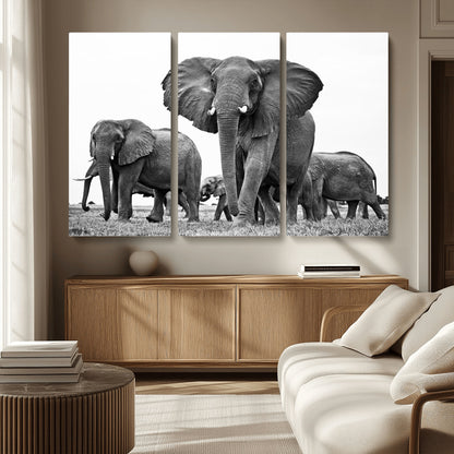 91685-MGV-CV-36X24-Elephant Herd Wall Art – Black and White Safari Canvas Print, African Wildlife Photography Decor for Living Room, Office or