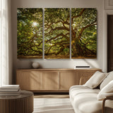 57983-MGV-CV-36X24-Angel Oak Tree Wall Art Canvas Print, Framed Oak Tree Art Picture Print, Angel Oak Perfect Rustic Nature Decor Artwork