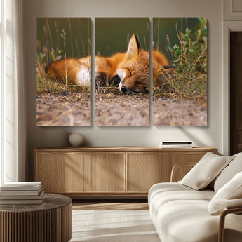 25085-MGV-CV-36X24-Sleeping Fox Wall Art Canvas Print, Framed Rustic Fox Art Picture Print, Wildlife Animal Perfect Rustic Farmhouse Decor Artwork