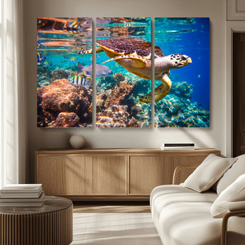 66614-MGV-CV-36X24-Sea Turtle Wall Art – Hawksbill Turtle Swimming Over Coral Reef Canvas Print, Ocean Marine Life Decor for Beach House, Coastal
