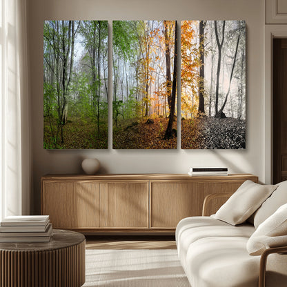 95317-MGV-CV-36X24-Four Seasons Forest Wall Art – Panoramic Nature Canvas Print Showing Spring, Summer, Autumn and Winter Landscape for Living Room,