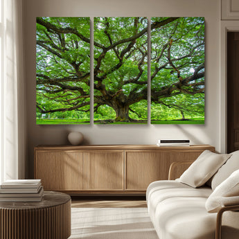 49375306-MGV-CV-36X24-Ancient Tree Wall Art Canvas Print, Framed Sprawling Branches Art Picture Print, Gnarling Tree Perfect Earthy Natural Decor