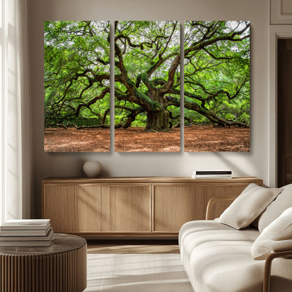 51255351-MGV-CV-36X24-Ancient Tree Wall Art – Majestic Oak Canvas Print, Large Nature Photography, Sacred Forest Landscape Wall Décor, Wisdom Tree