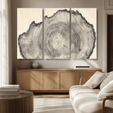 98921313-MGV-CV-36X24-Tree Ring Wall Art Canvas Print, Framed Wood Slice Art Picture Print, Minimalist Wood Perfect Rustic Academic Decor Artwork