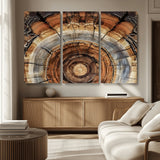 15184146-MGV-CV-36X24-Tree Rings Wall Art Canvas Print, Framed Wood Texture Art Picture Print, Rustic Pattern Perfect Rustic Organic Decor Artwork