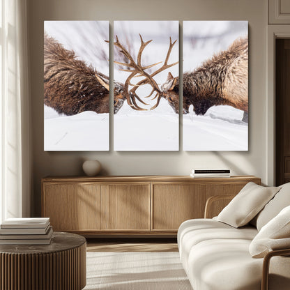 36507609-MGV-CV-36X24-Elk Clash Scene Wall Art Canvas Print, Framed Wildlife Strength Decor Art Picture Print, Snowy Forest Elk Perfect Rustic Lodge