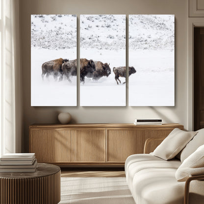 56216945-MGV-CV-36X24-Bison Herd Decor Wall Art Canvas Print, Framed Snowy Bison Scene Art Picture Print, Winter Wildlife Theme Perfect Rustic Western