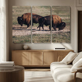 58141885-MGV-CV-36X24-Bison Photography Wall Art Canvas Print, Framed Western Wildlife Art Picture Print, Modern Ranch Perfect Western Rustic Decor