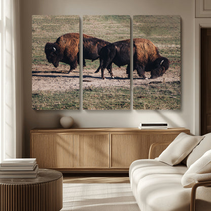 58141885-MGV-CV-36X24-Bison Photography Wall Art Canvas Print, Framed Western Wildlife Art Picture Print, Modern Ranch Perfect Western Rustic Decor