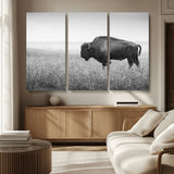90861202-MGV-CV-36X24-Black and White Bison Canvas Wall Art – Rustic American Buffalo Print, Western Wildlife Photography for Farmhouse, Cabin, Office