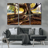53335-MGV-CV-36X24-Majestic Tree with Sprawling Roots Wall Art – Serene Sunlit Park Scene, Nature Canvas Print, Perfect for Living Room, Office or