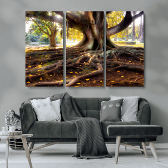 53335-MGV-CV-36X24-Majestic Tree with Sprawling Roots Wall Art – Serene Sunlit Park Scene, Nature Canvas Print, Perfect for Living Room, Office or