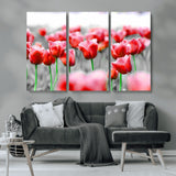 44554-MGV-CV-36X24-Vibrant red tulips stand out beautifully against a black-and-white background, making a striking decor piece perfect for any home