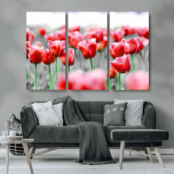 44554-MGV-CV-36X24-Vibrant red tulips stand out beautifully against a black-and-white background, making a striking decor piece perfect for any home