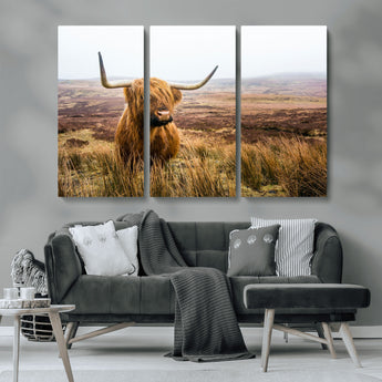 79391-MGV-CV-36X24-Majestic Highland Cow in Misty Scottish Moorland – Rustic Natural Charm, Perfect for Unique Home or Office Decor