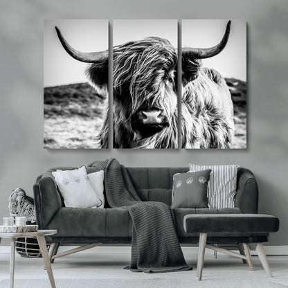 36979-MGV-CV-36X24-Striking black-and-white portrait of a Highland cow with flowing fur and majestic horns, perfect for rustic and elegant home or