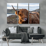 71222-MGV-CV-36X24-A playful Highland cow with shaggy fur sticks out its tongue, set against a rugged landscape — perfect for quirky home or office