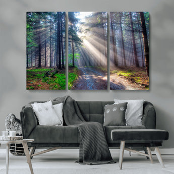 42047-MGV-CV-36X24-Sunlit Forest Path Wall Art – Nature Canvas Print, Serene Woodland Landscape, Perfect Home & Office Decor for Calm and Tranquil