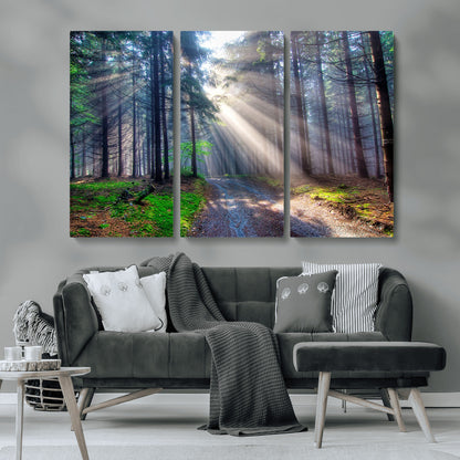 42047-MGV-CV-36X24-Sunlit Forest Path Wall Art – Nature Canvas Print, Serene Woodland Landscape, Perfect Home & Office Decor for Calm and Tranquil