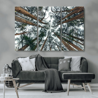 18790-MGV-CV-36X24-Pine Canopy Wall Art – Panoramic View of Towering Pines Canvas Print, Nature-Inspired Decor for Office, Cabin or Living Room