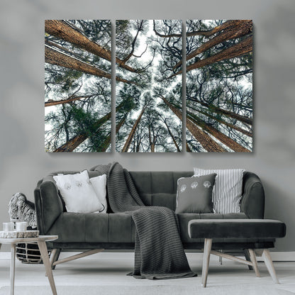 18790-MGV-CV-36X24-Pine Canopy Wall Art – Panoramic View of Towering Pines Canvas Print, Nature-Inspired Decor for Office, Cabin or Living Room