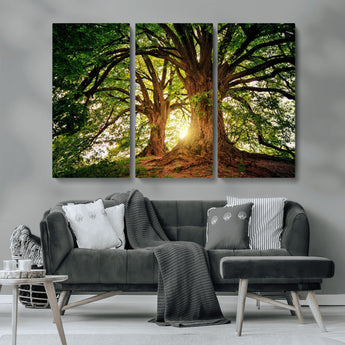 52150-MGV-CV-36X24-Majestic Tree Wall Art – Large Nature Canvas Print with Sunlight Through Branches, Rustic Forest Decor for Living Room, Bedroom or