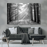 39665-MGV-CV-36X24-Black and White Forest Path Wall Art – Sunlight Rays in Trees Canvas Print, Nature Landscape Decor for Living Room or Office