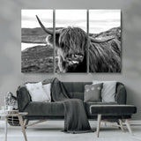 83810-MGV-CV-36X24-Highland Cow Wall Art – Black and White Highland Cattle Print, Rustic Farmhouse Animal Decor for Living Room