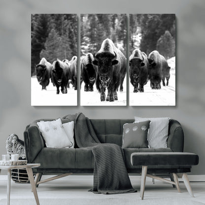 62434-MGV-CV-36X24-Bison Herd Wall Art – Majestic Black and White Buffalo Canvas Print, Wildlife Nature Photography Decor for Living Room, Office or
