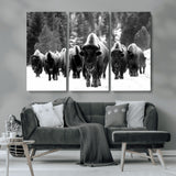 62434-MGV-CV-36X24-Bison Herd Wall Art – Majestic Black and White Buffalo Canvas Print, Wildlife Nature Photography Decor for Living Room, Office or