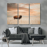 99699-MGV-CV-36X24-Bison in Prairie at Sunset – Wildlife Photography Print, American Buffalo Wall Art, Nature Landscape Canvas Decor for Office